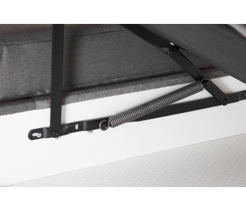 L-Form 2F-OTM/BK Femm thumbnail