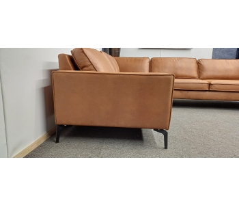 Rundecken Pinto thumbnail