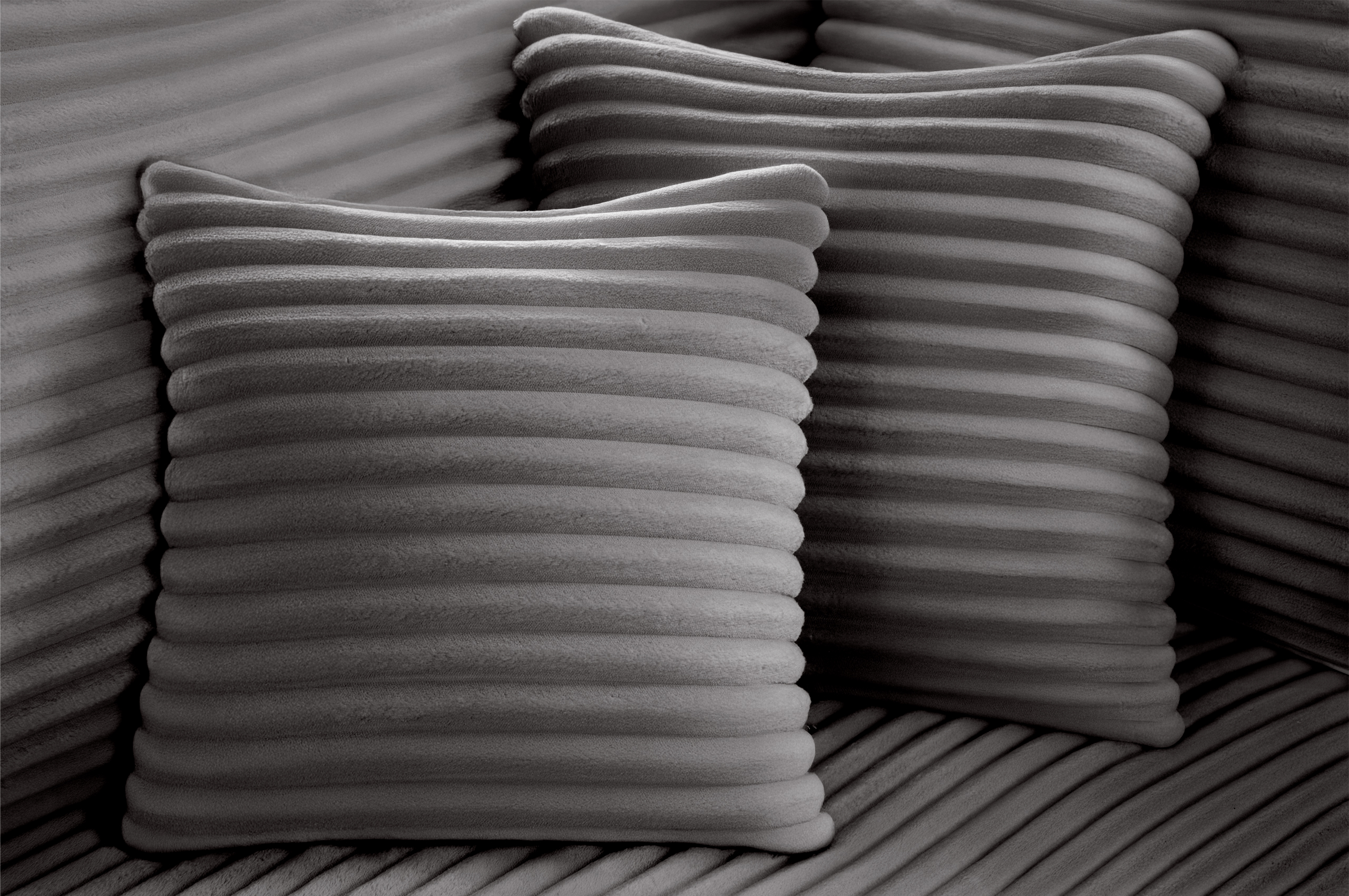 L-Form 3-E-OTM Lincoln - Image 10