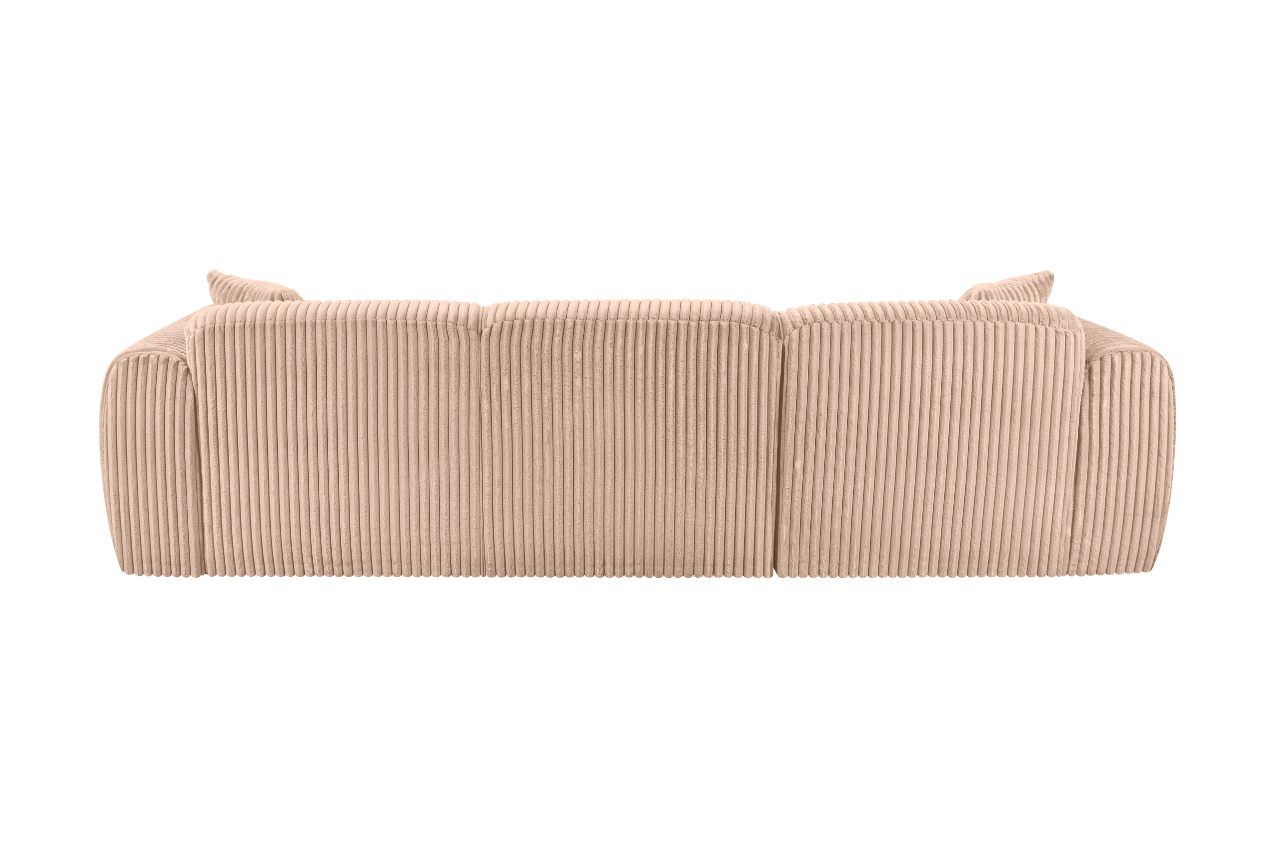 L-Form REC-2S Tamara - Image 5