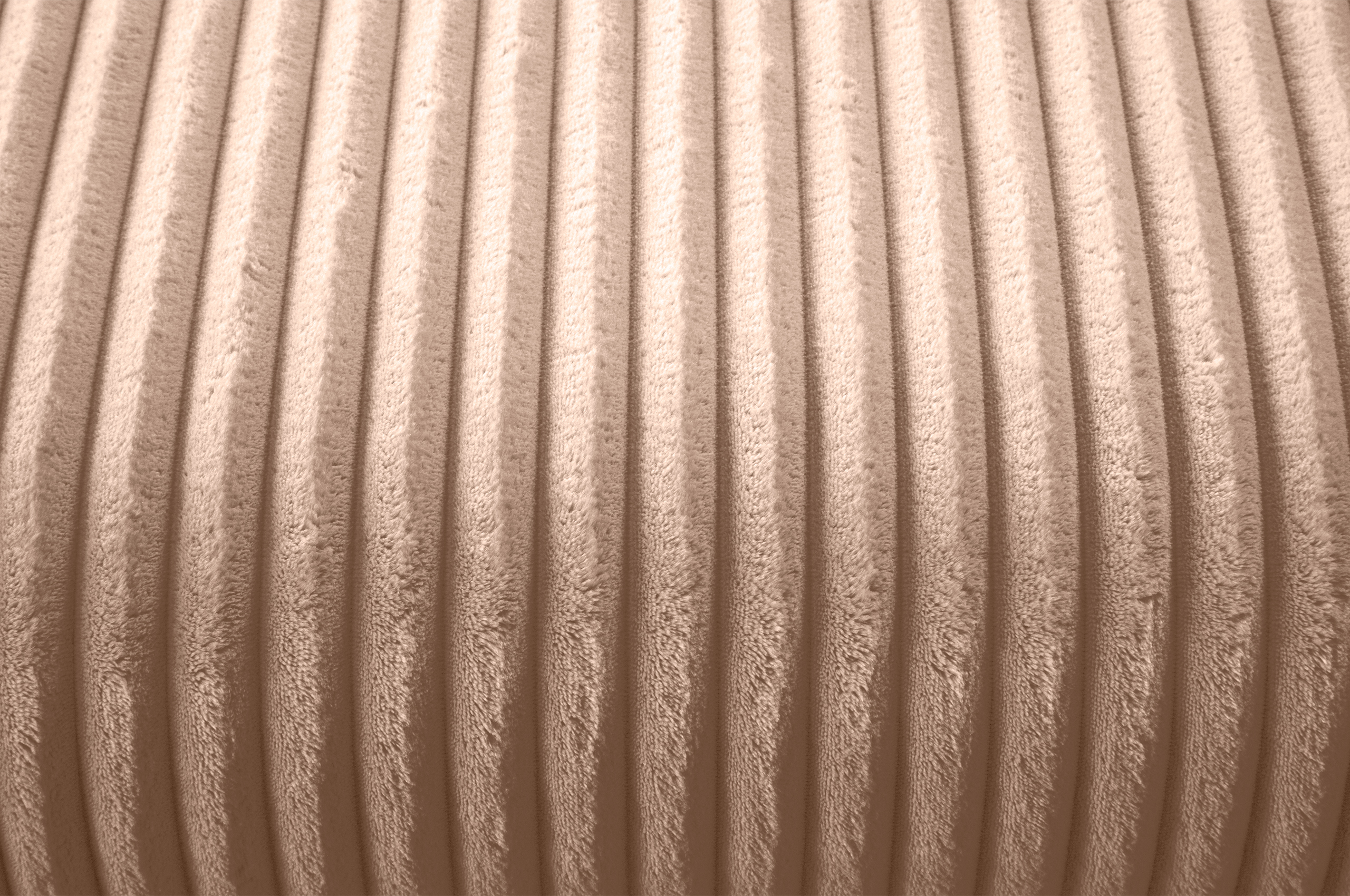 L-Form REC-2S Tamara - Image 6