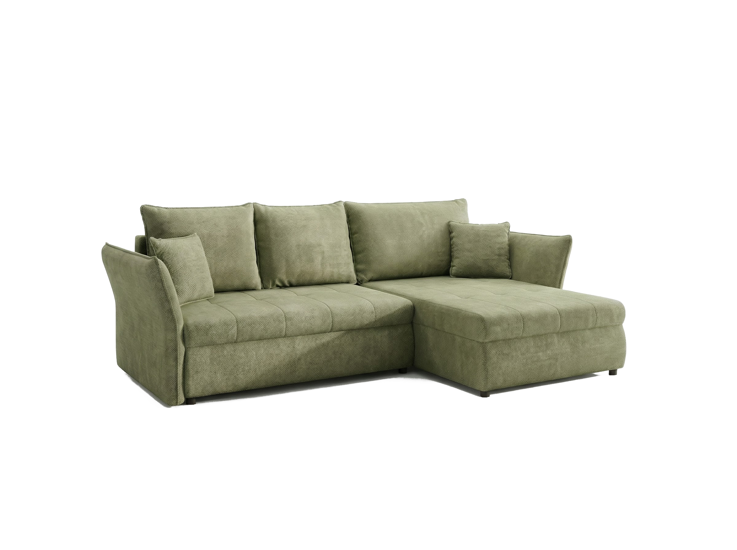 L-Form 2F-REC Tola - Image 0