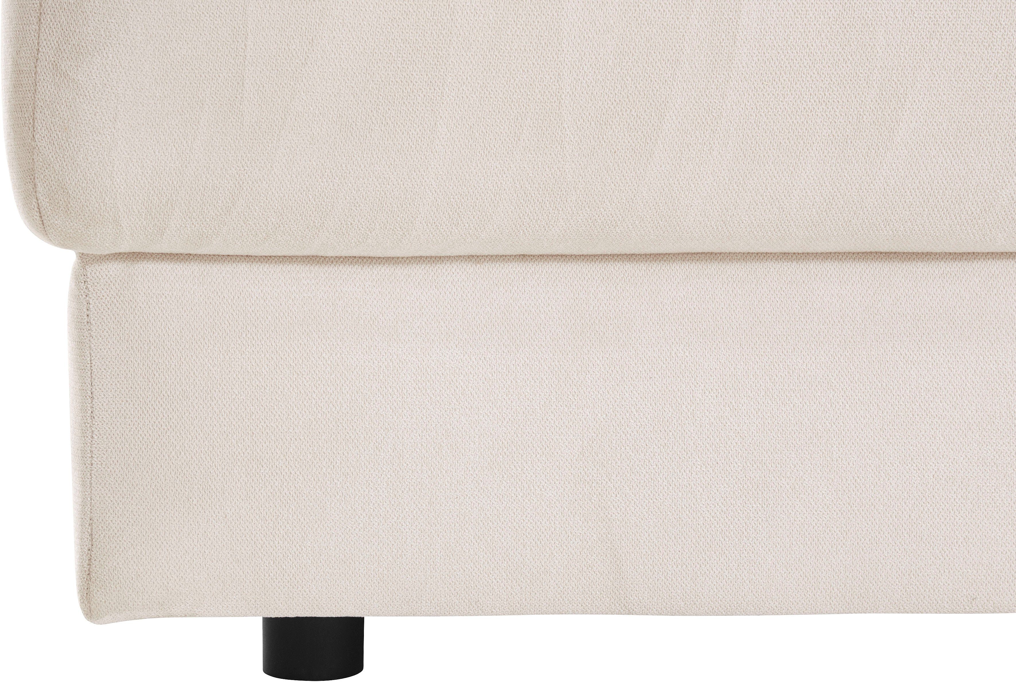 Hocker Bloomfield - Image 3