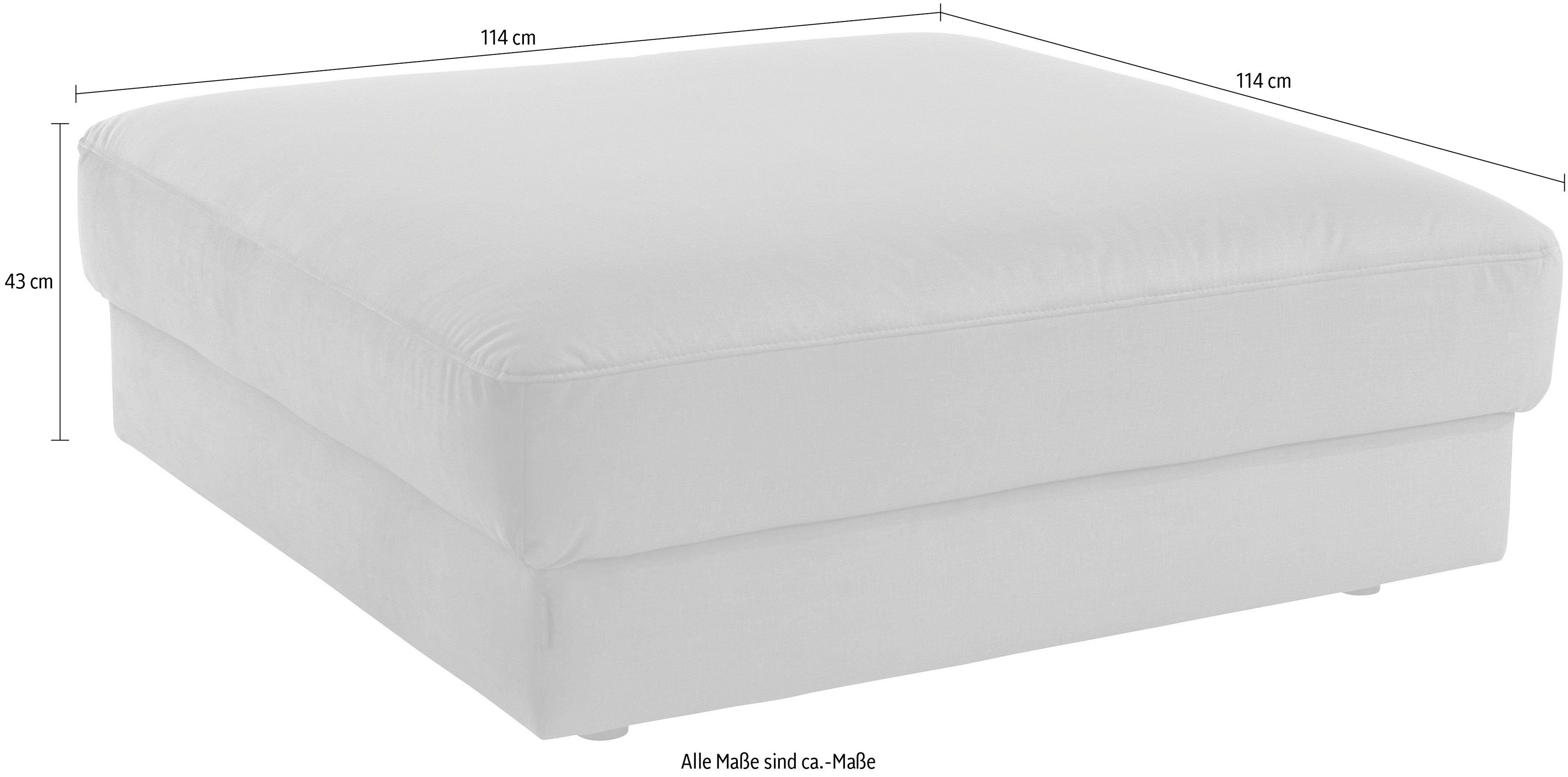 Hocker Bloomfield - Image 5