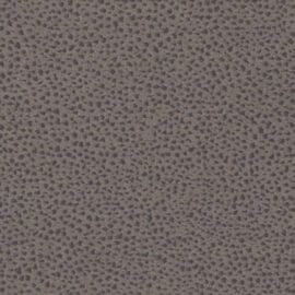Element 2S Ewa Fewa - Image 1