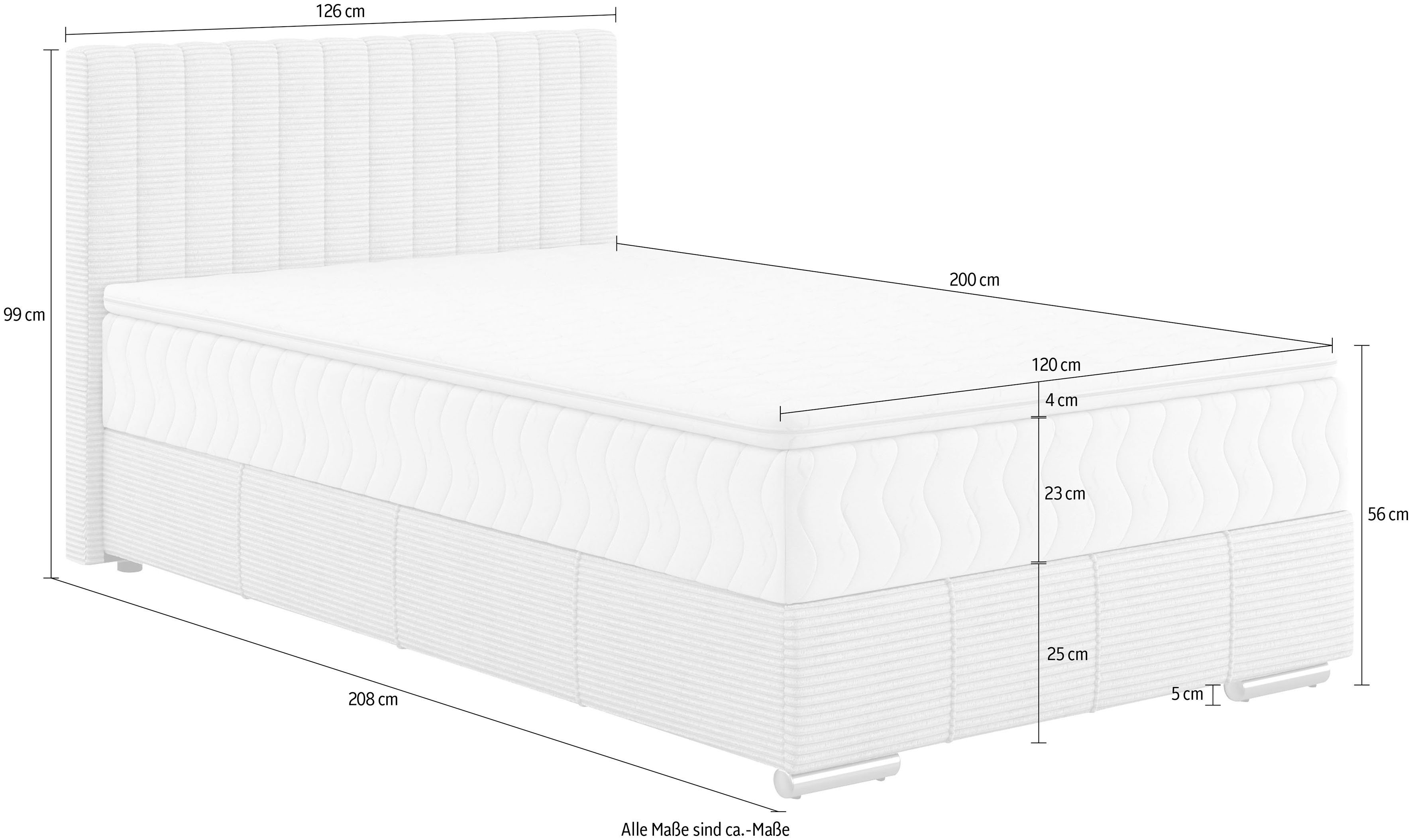 Boxspring 120x200 Thor - Image 4