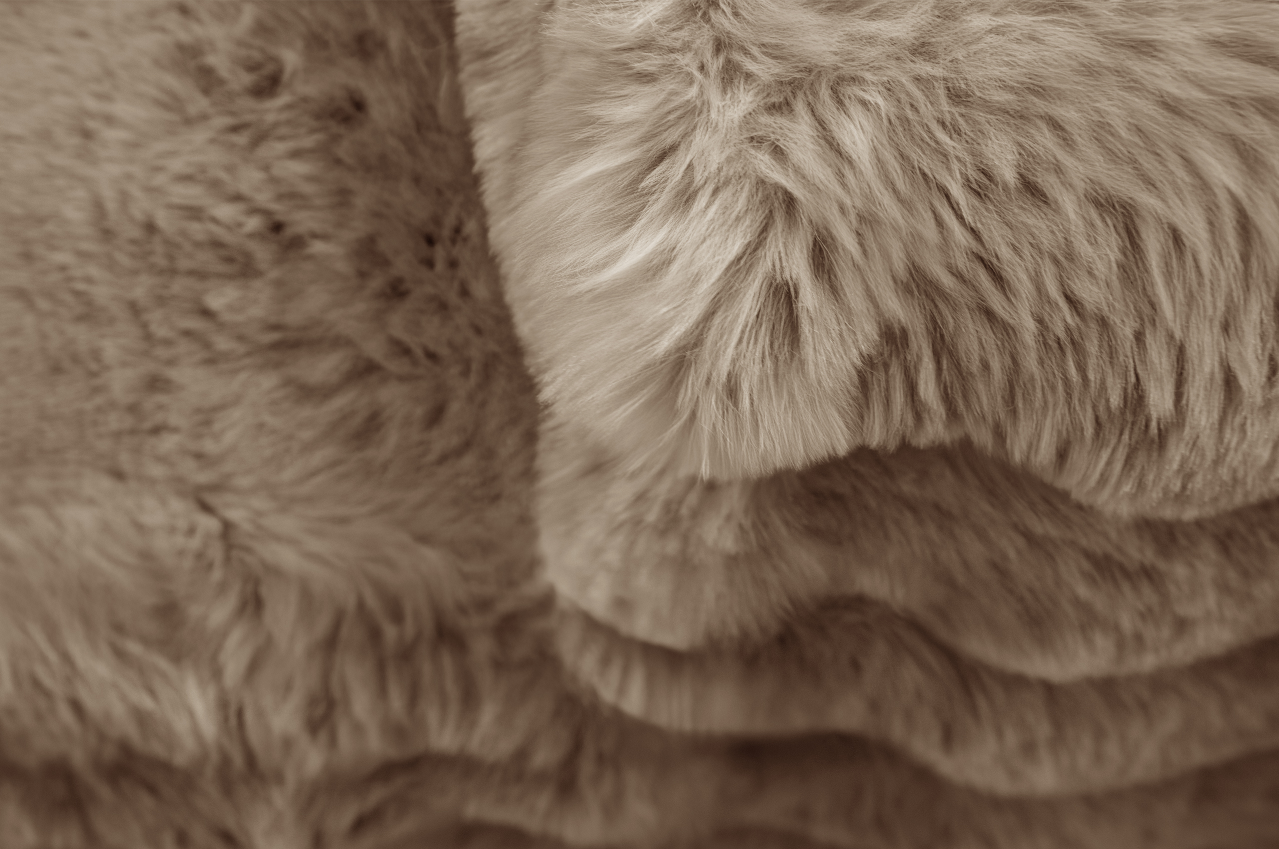 Sessel Lincoln - Image 7