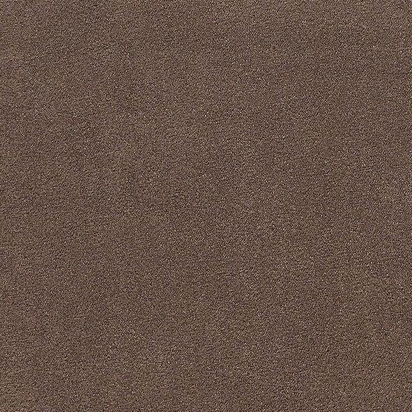 2,5 Palmera - Image 6